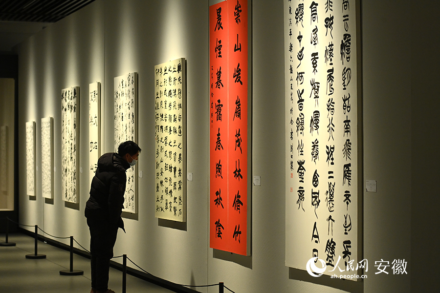市民在宿州美术馆欣赏书法作品。人民网记者 苗子健摄