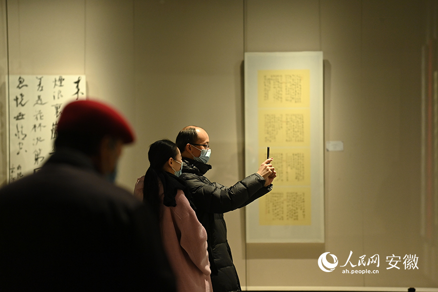 市民在宿州美術館欣賞書法作品。人民網記者 苗子健攝