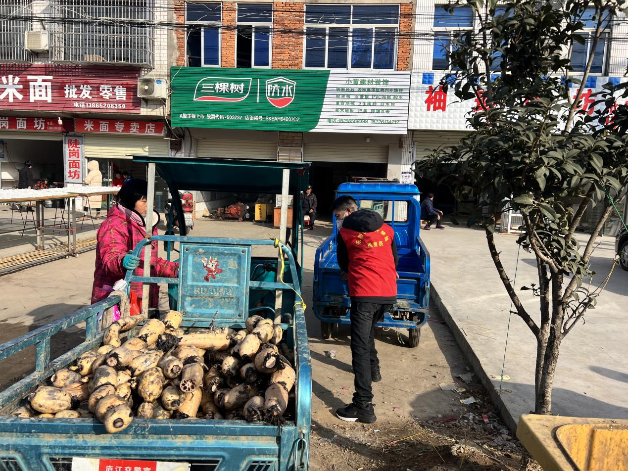 大學生返鄉志願者在“綠+”志願服務。廬江縣委宣傳部供圖