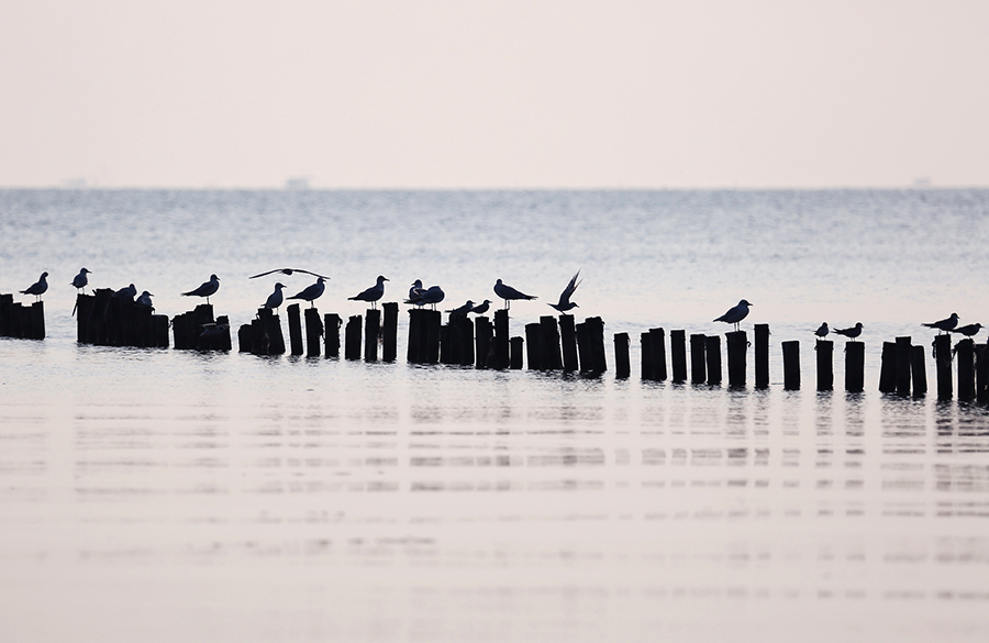 柘皋河湿地公园。钱茂松摄