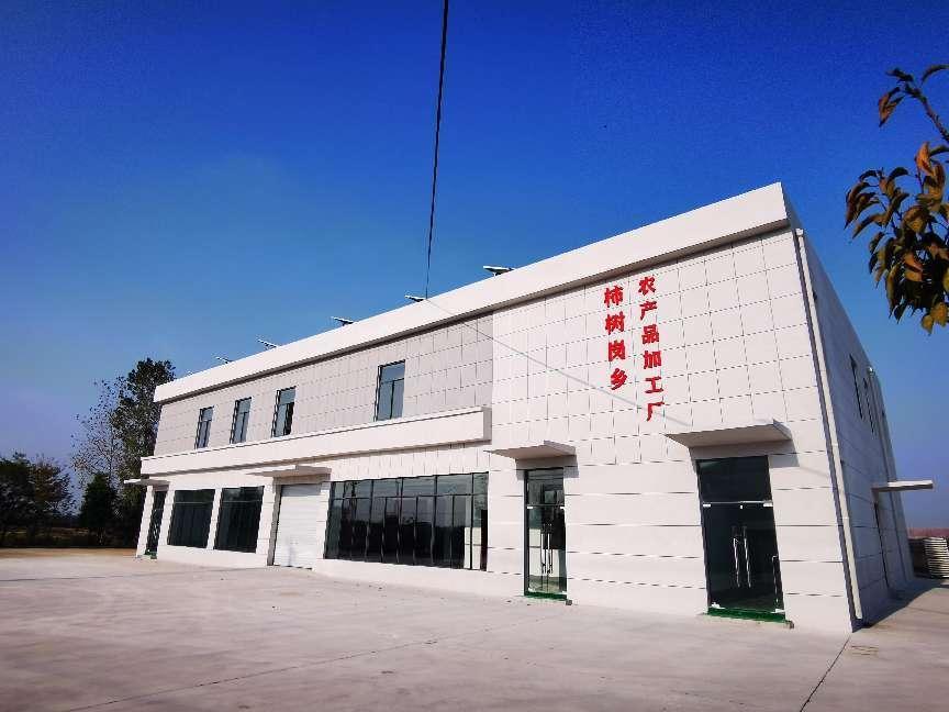 柿树岗乡农产品加工厂。肥西县委宣传部供图