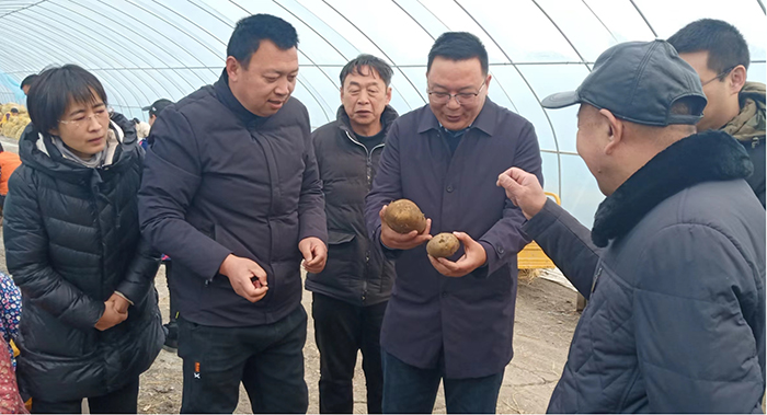 省农技专家廖华俊（右三）现场指导。杨杰摄