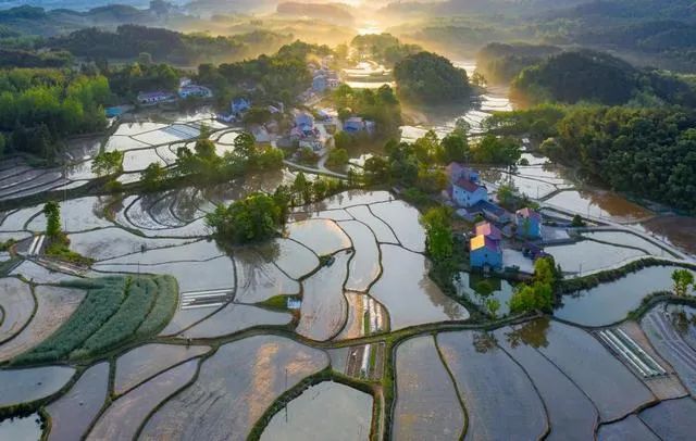 宛陵湖湿地公园。全媒体记者 汪鸣