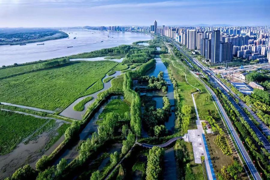 长江岸边如今十里绿堤。芜湖市委宣传部供图
