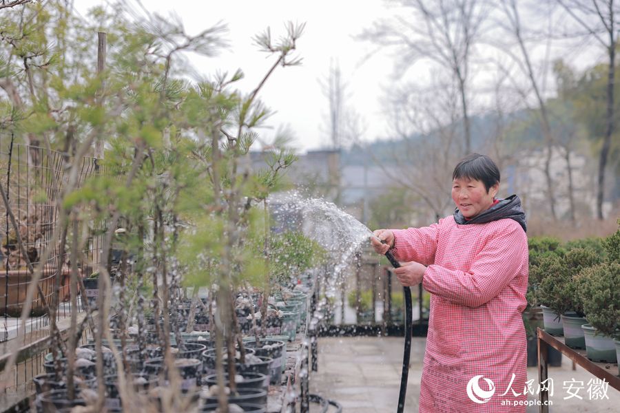 园艺工人正在浇灌。人民网 王晓飞摄