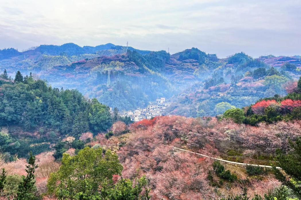 卖花渔村美景。安徽电信供图