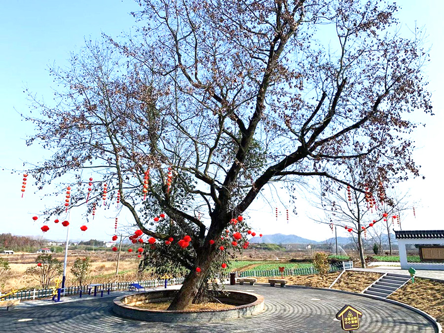 村民广场