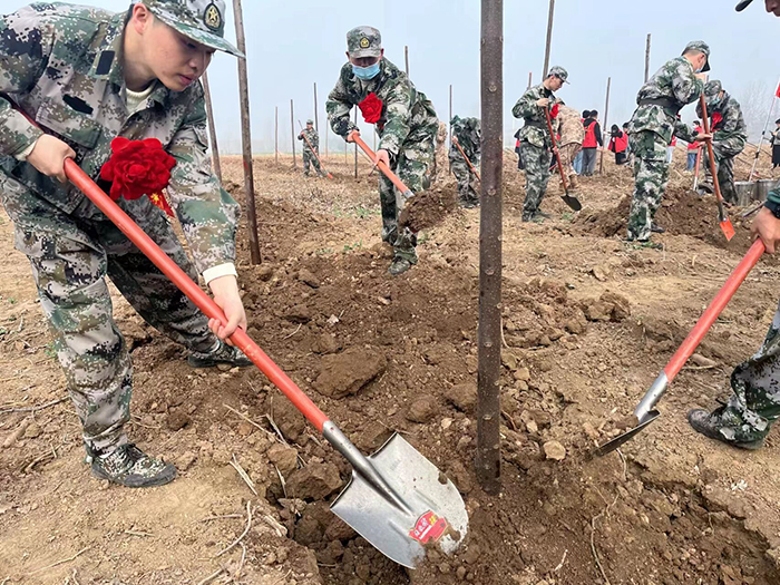 义务植树活动。界首市人武部供图