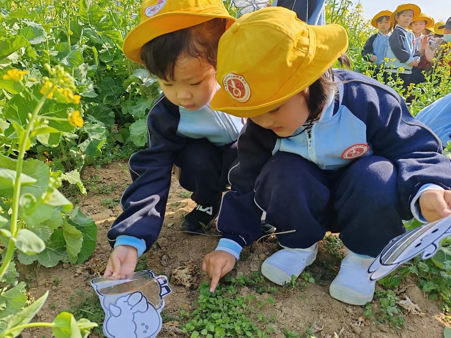 孩子们好奇的观察。宋倩倩摄