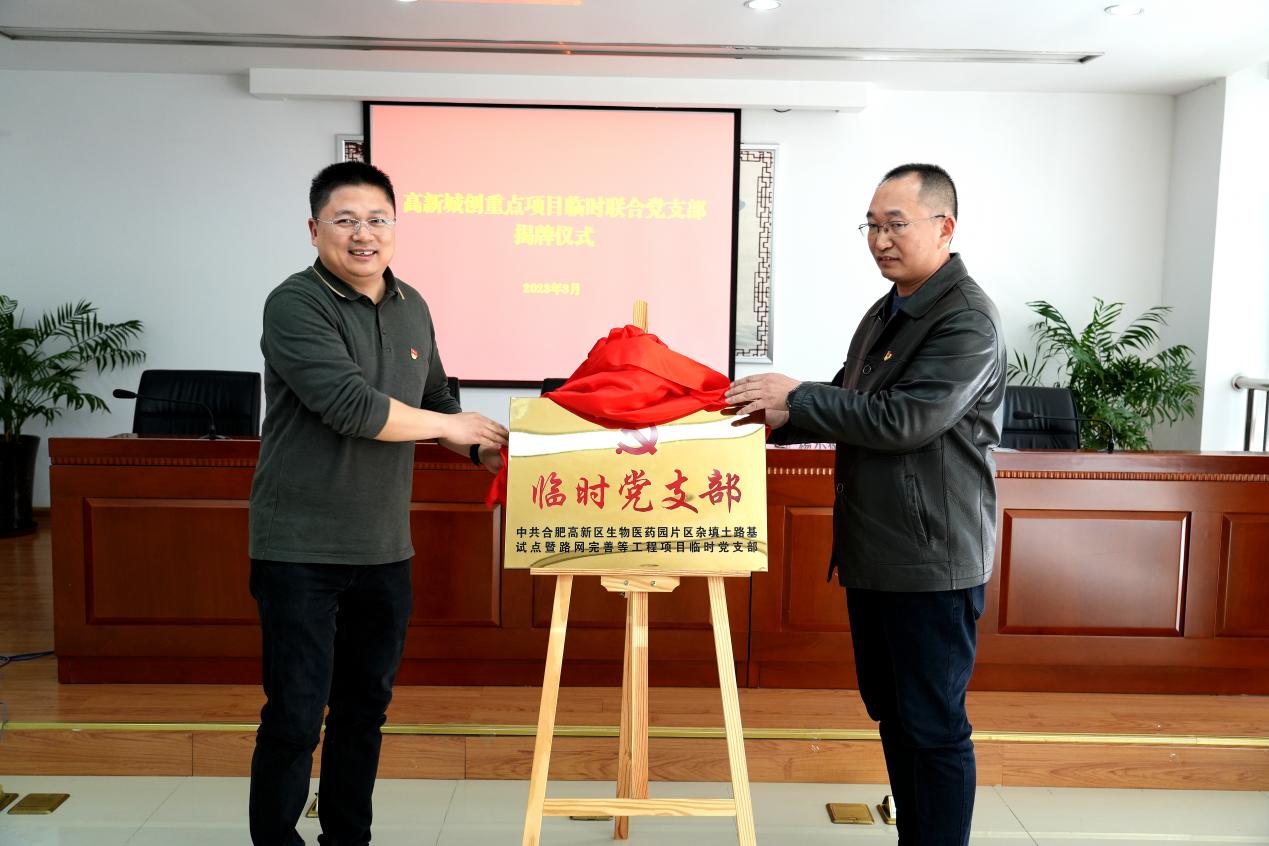 合肥高新区临时党支部揭牌仪式。合肥高新区供图