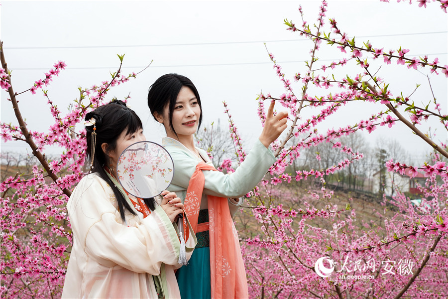 游客身着汉服走进桃林里观赏桃花。人民网 王锐摄