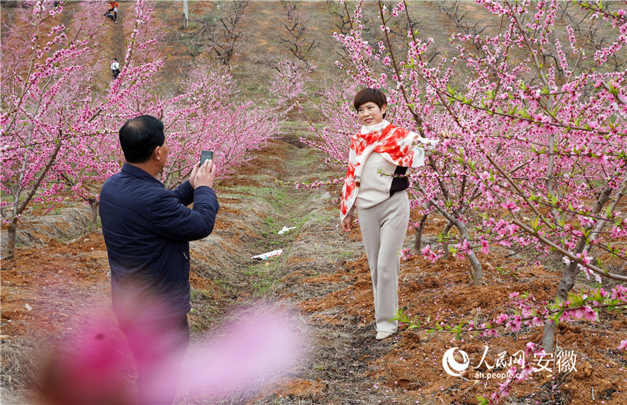 游客在桃花林內拍照留念。人民網 王銳攝