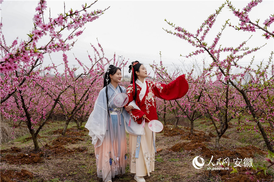 游客身著漢服走進桃林內觀賞桃花。人民網 王銳攝