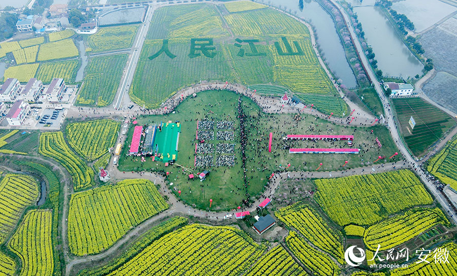 安徽枞阳县第二届油菜花文化旅游节盛大开幕。人民网 陶涛摄