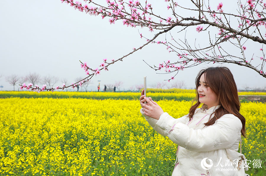 此次油菜花文化旅游节吸引了大批游客前来踏春。人民网 陶涛摄
