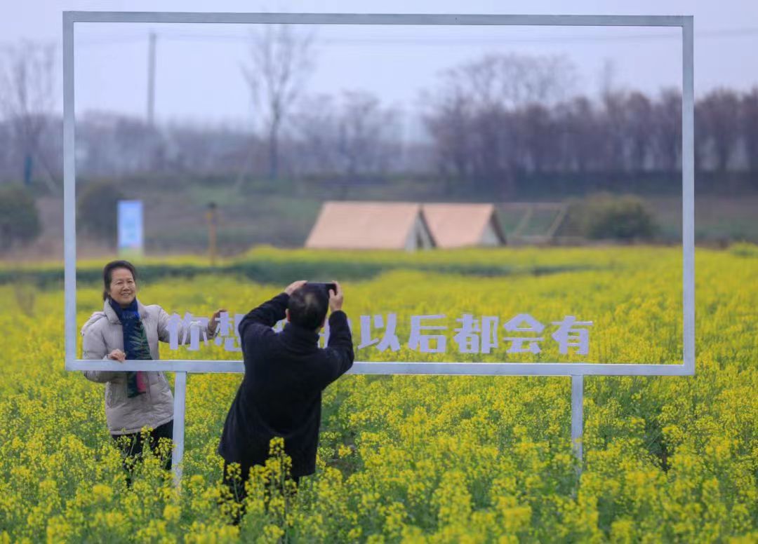 游客置身于油菜花田中拍照打卡。