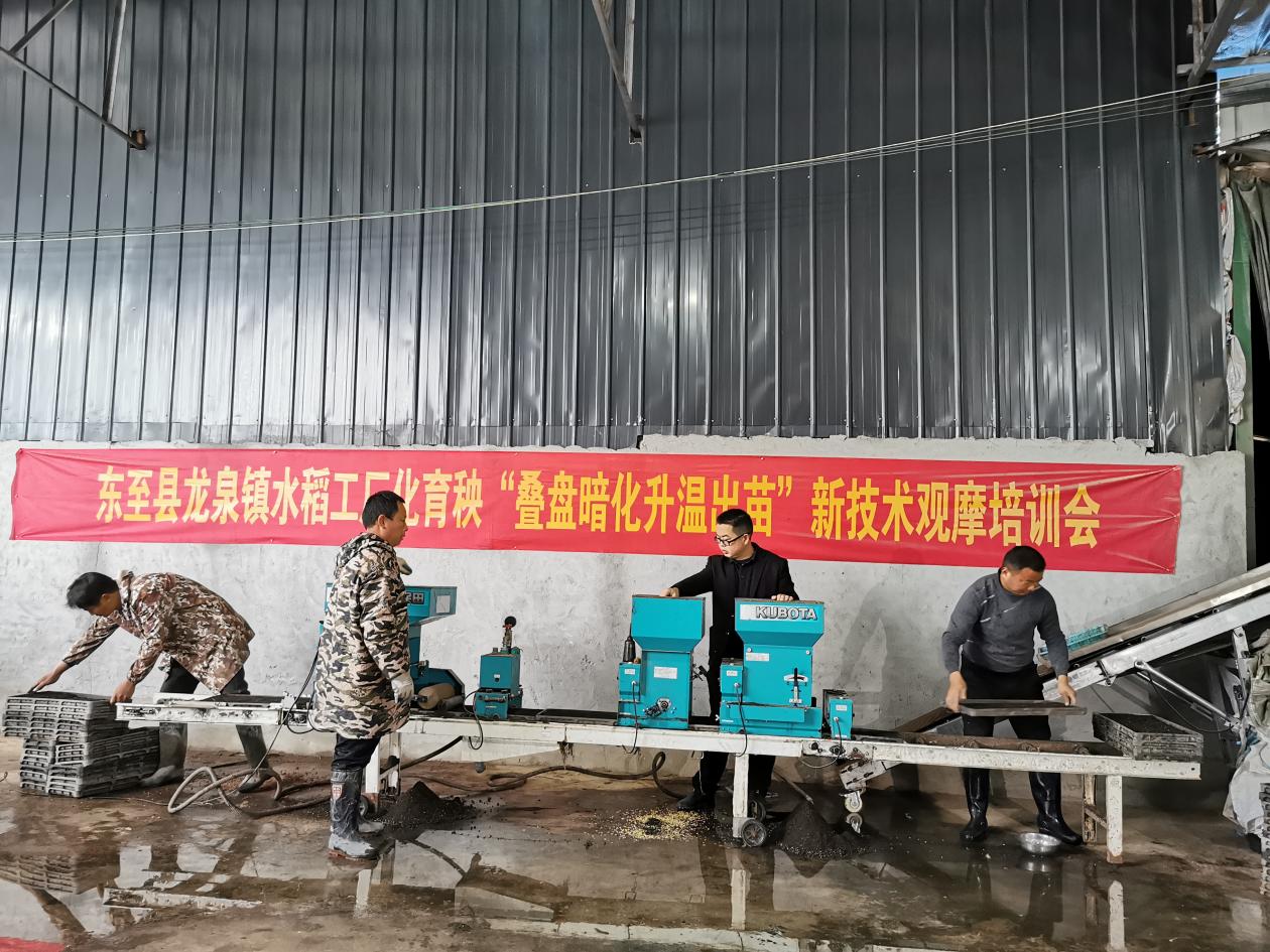 工人忙碌在全自動水稻工廠化育秧流水線上。東至縣委宣傳部供圖