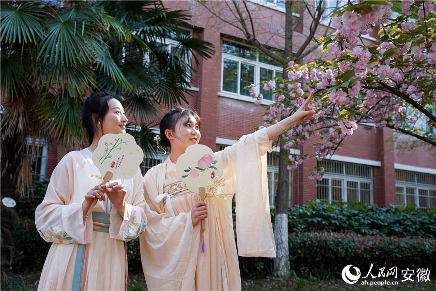 两位学生正在欣赏盛开的樱花。人民网 王锐摄