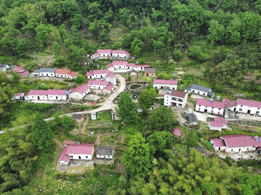 ●將軍村西馬組全景