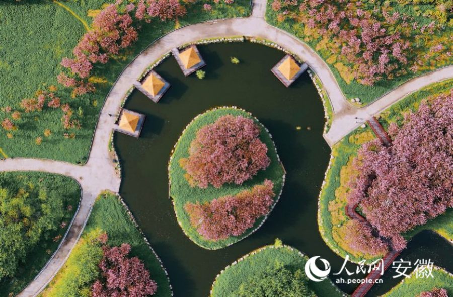 俯瞰公園一隅。人民網 王曉飛攝