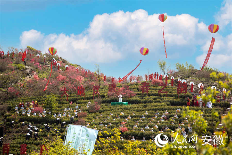又到了春茶采摘最好的季节，芜湖·昆山第二届白茶采摘节在无为市昆山镇举办。  无为市文旅体局供图