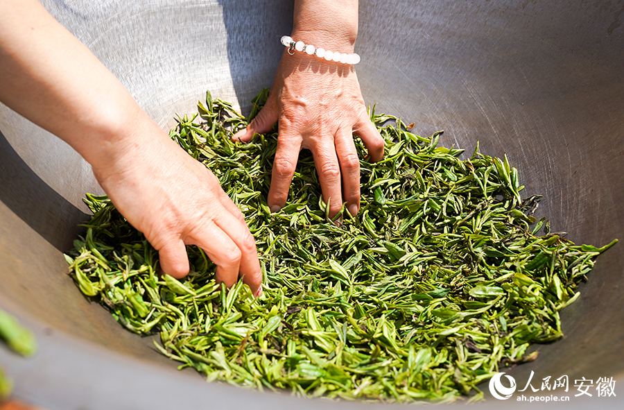 刚采下的新茶正在锅中手工翻炒。人民网 王锐摄
