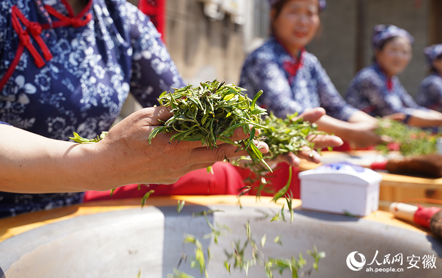 手工制茶技艺展示。人民网 王锐摄