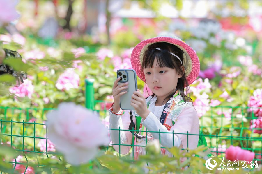游人在赏花拍照。人民网 王晓飞摄