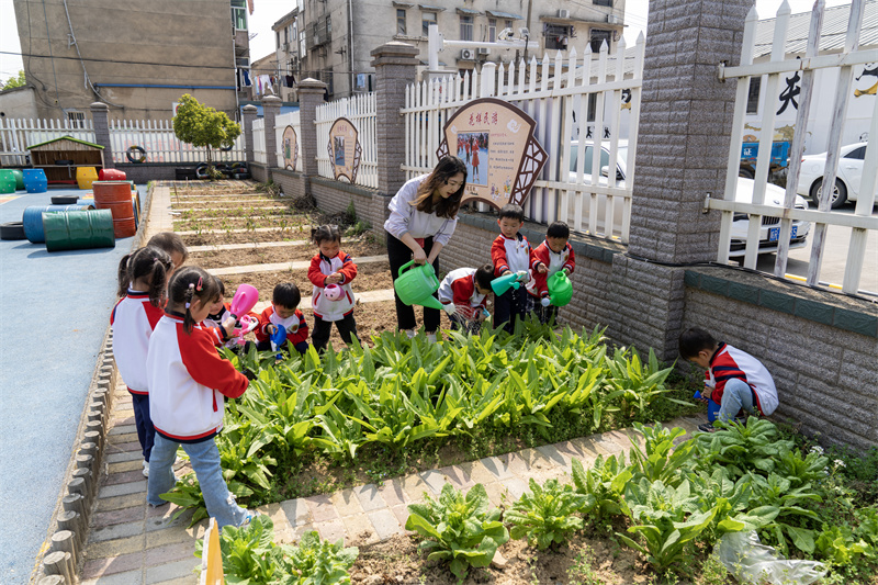 4月11日，青阳县幼儿园的老师正带领幼儿为亲手种植的莴苣浇水，体验田园种植乐趣