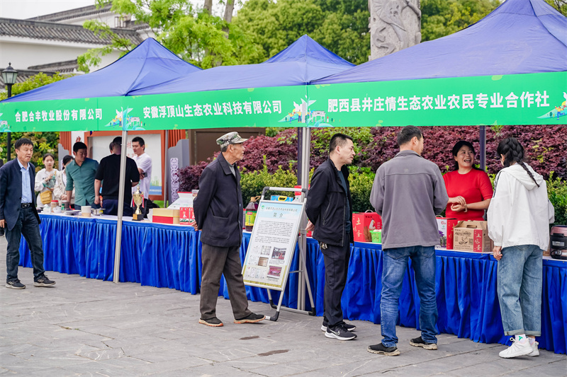 南宫NG28官网共富肥西 “乡”见美好——“学习强国”走进社科普及基地(图5)