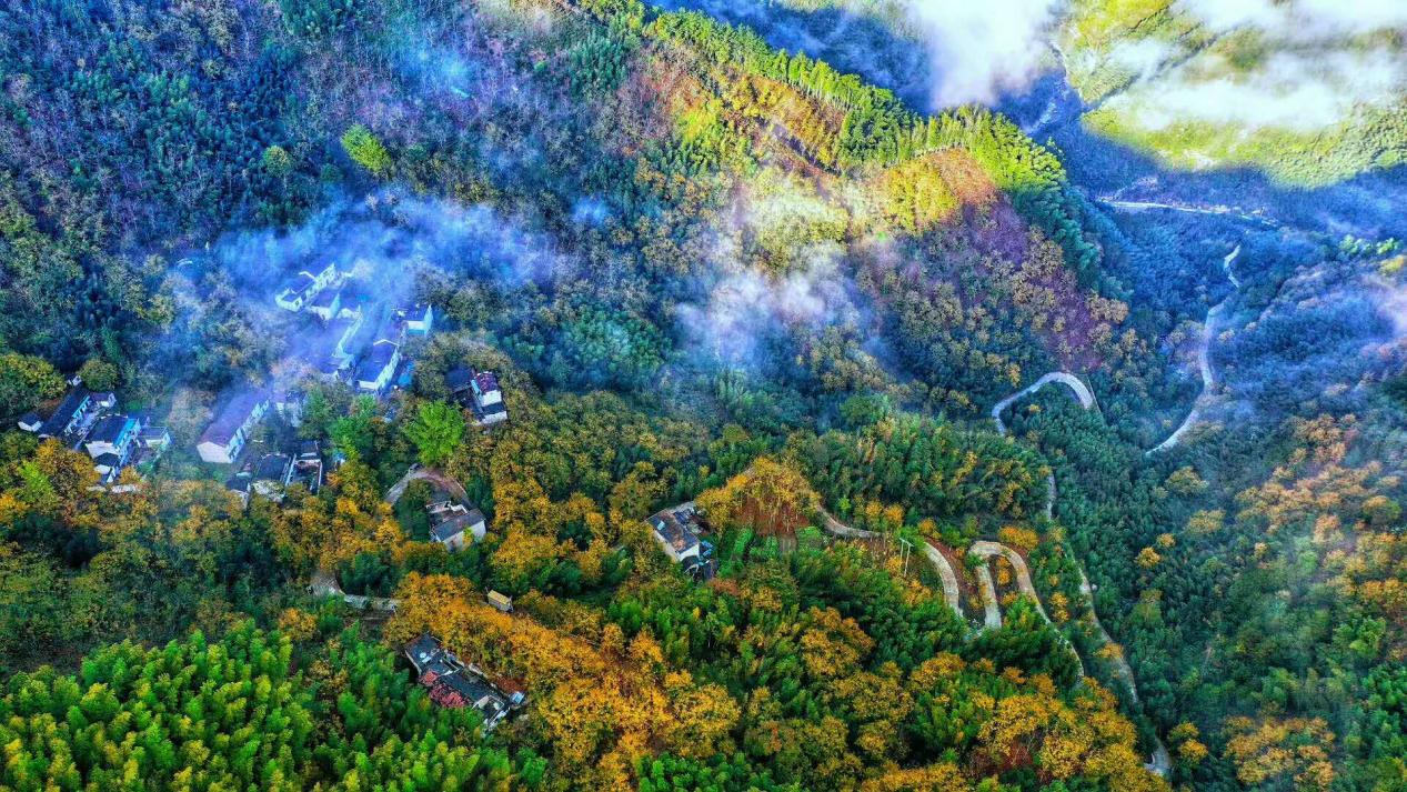 大张村。