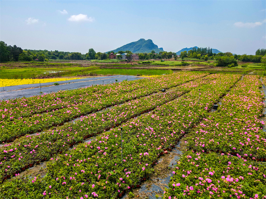 安徽庐江：绿水青山入画来【4】