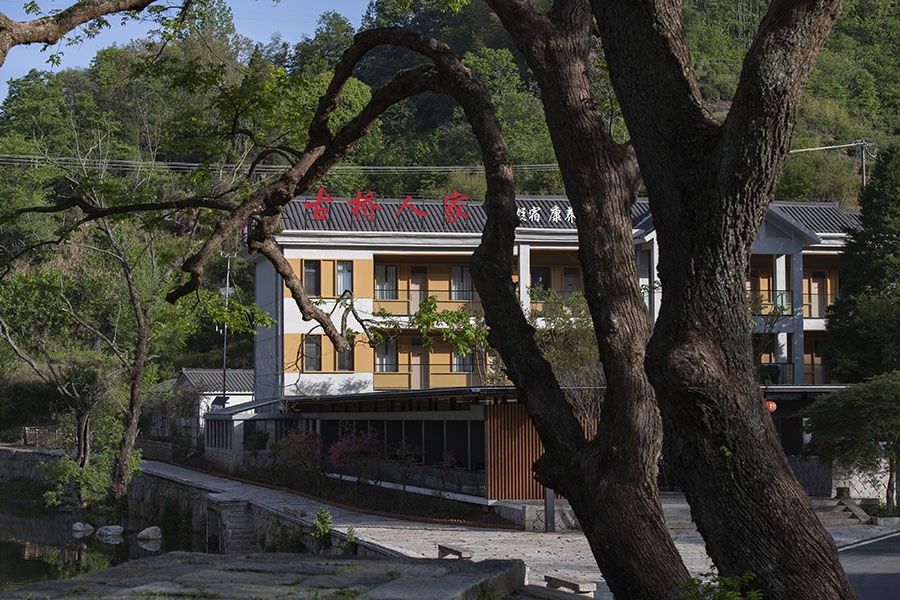古桥边的一棵枫杨树有400多年历史。吴悦摄