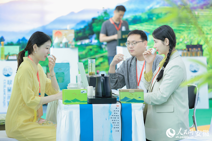 品茗。人民网记者 王晓飞摄