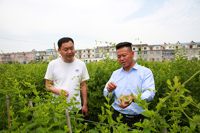基地负责人汤小伟正在给收购商洽谈合作事宜。吴天元摄