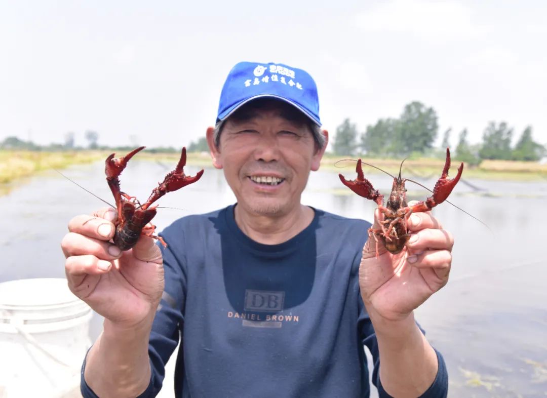 捕撈小龍蝦