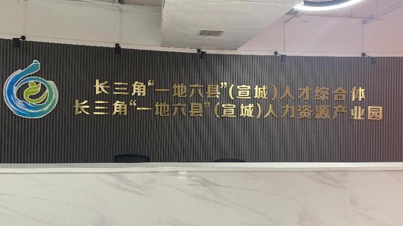 长三角“一地六县”人才综合体。受访者供图