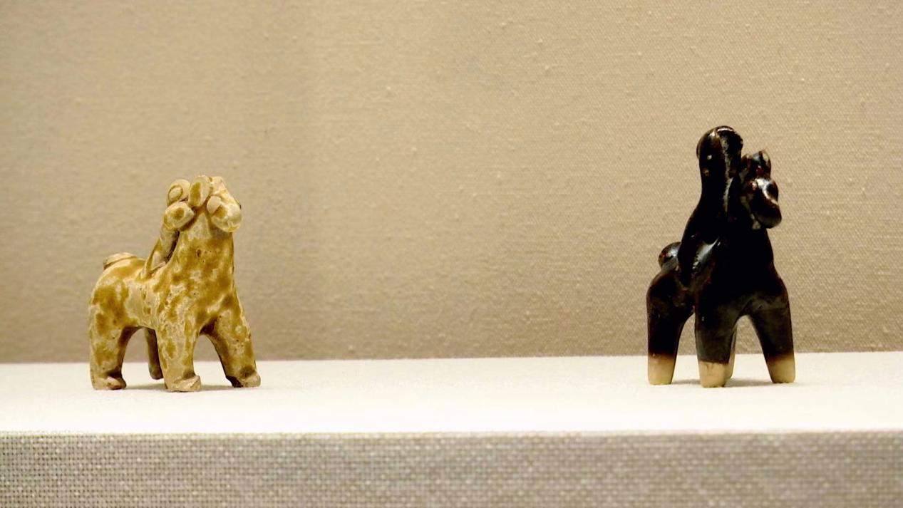 寿县开展国际博物馆日系列活动。寿县县委宣传部供图