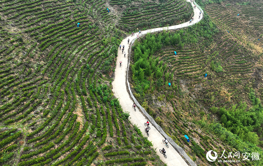 山地車茶山競速。人民網記者 陶濤攝