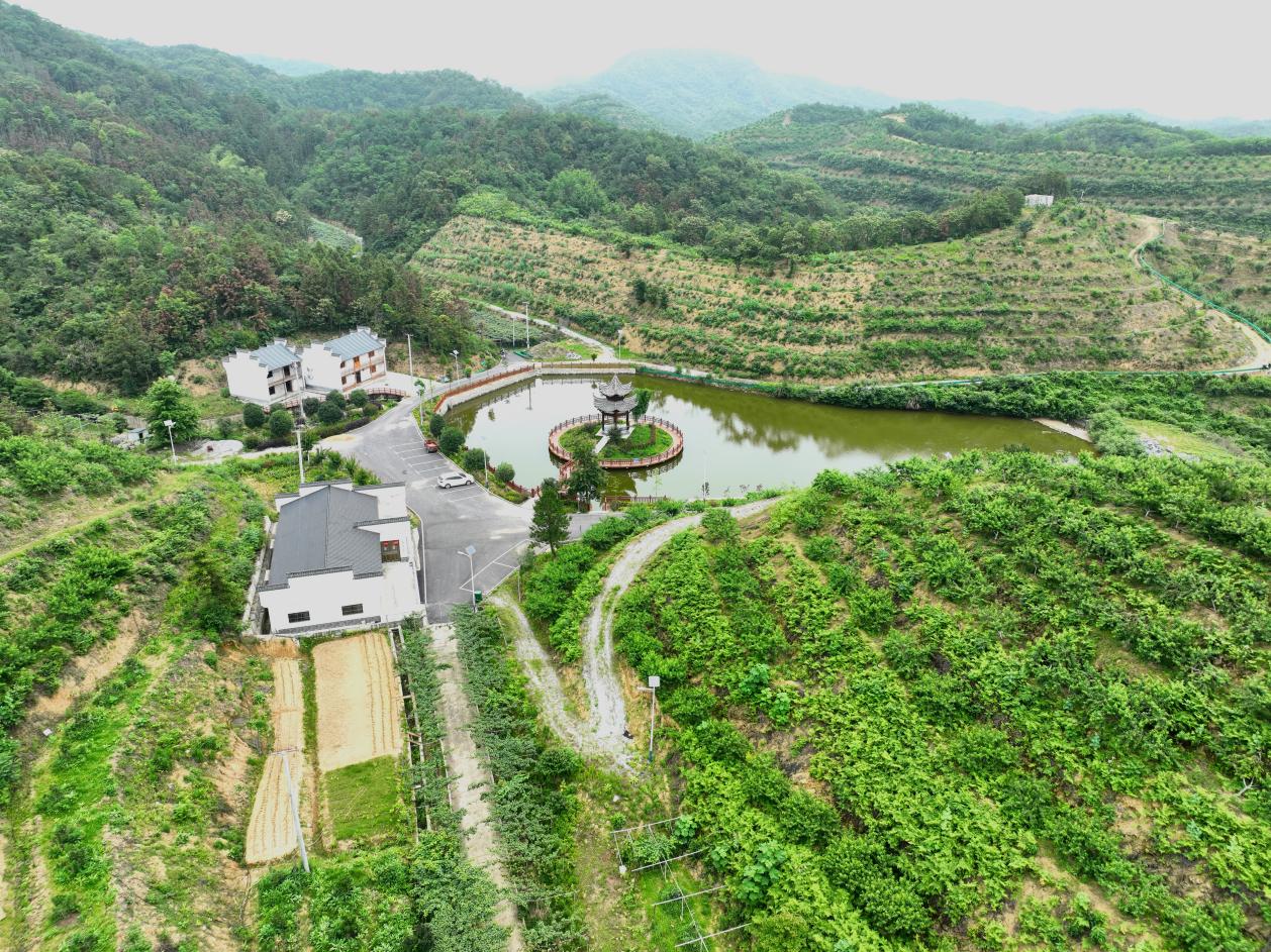 小河镇成硒生态农业园。王慧摄
