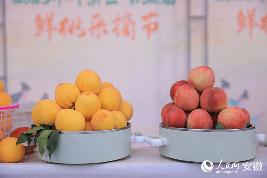 新鮮採摘的桃子。人民網記者 王曉飛攝