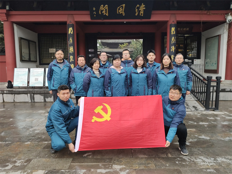 主题党日活动。合肥热电供图