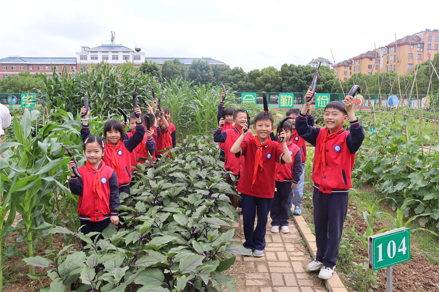 安徽青阳第三小学：小小种植园蕴藏成长大智慧
