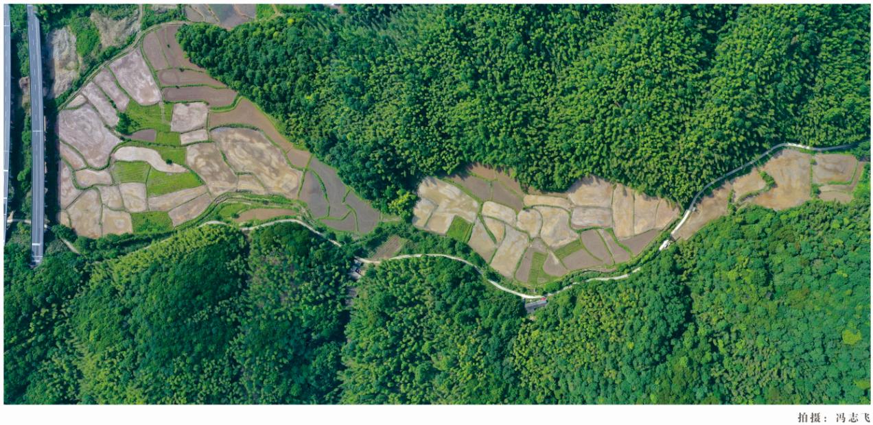 尧渡镇乃滩村150亩生态农业种植基地平面图。冯志飞摄