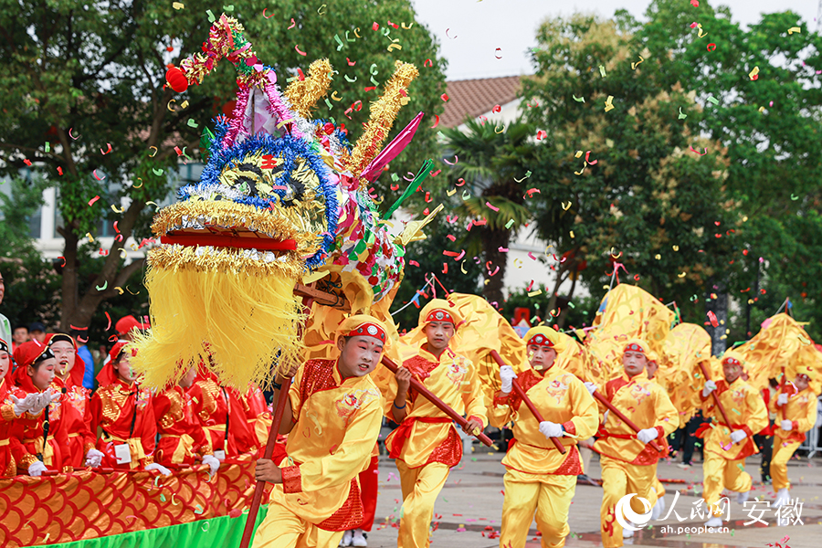 南陵县许镇镇华林完全小学带来的舞龙表演。人民网记者 张俊摄