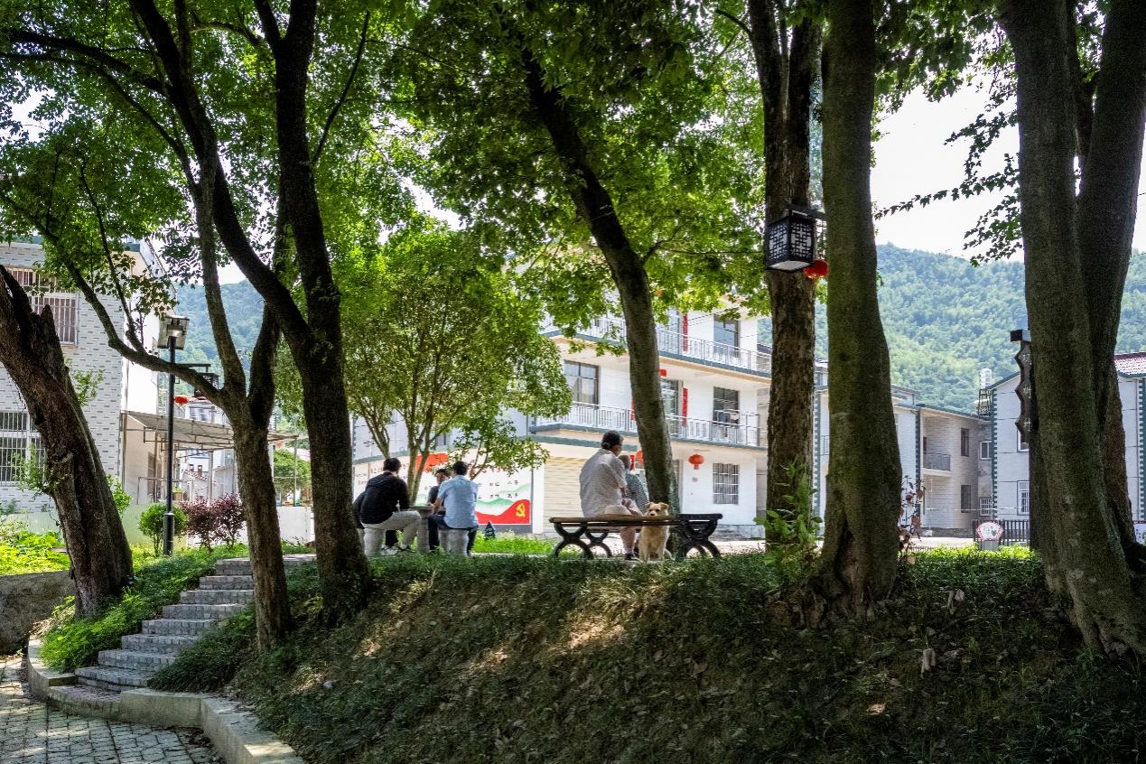 尧渡镇一角。东至县委宣传部供图