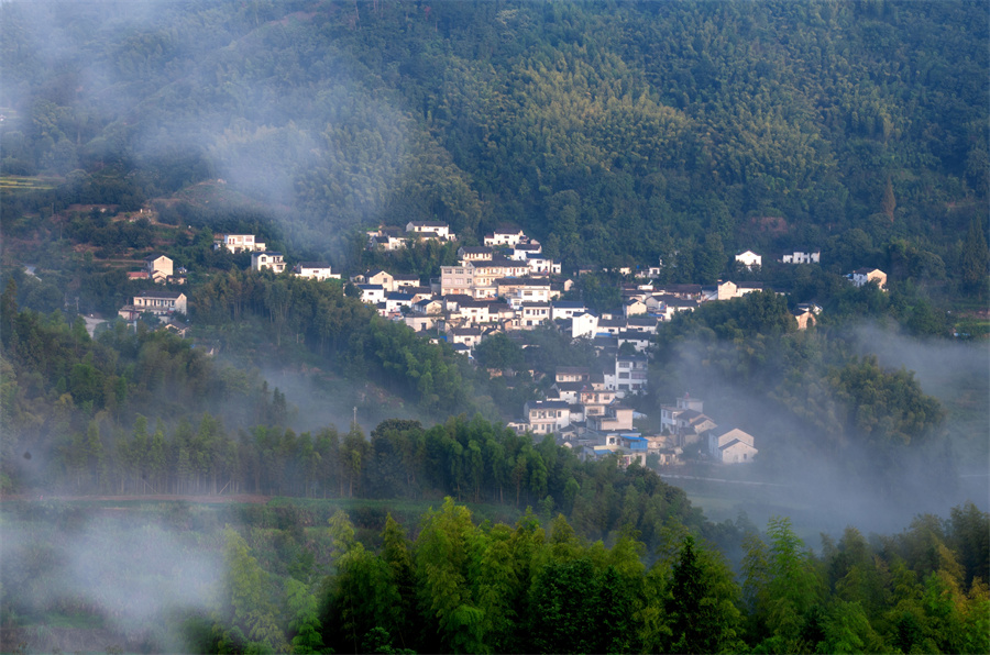 遠岫出山催薄暮，細風吹雨弄輕陰。章曉璇攝