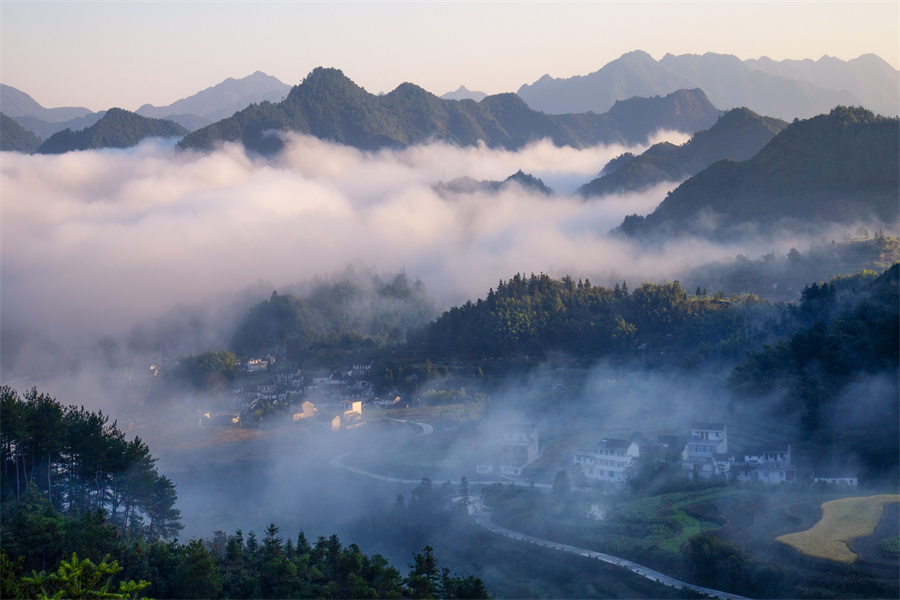 遠岫出山催薄暮，細風吹雨弄輕陰。章曉璇攝