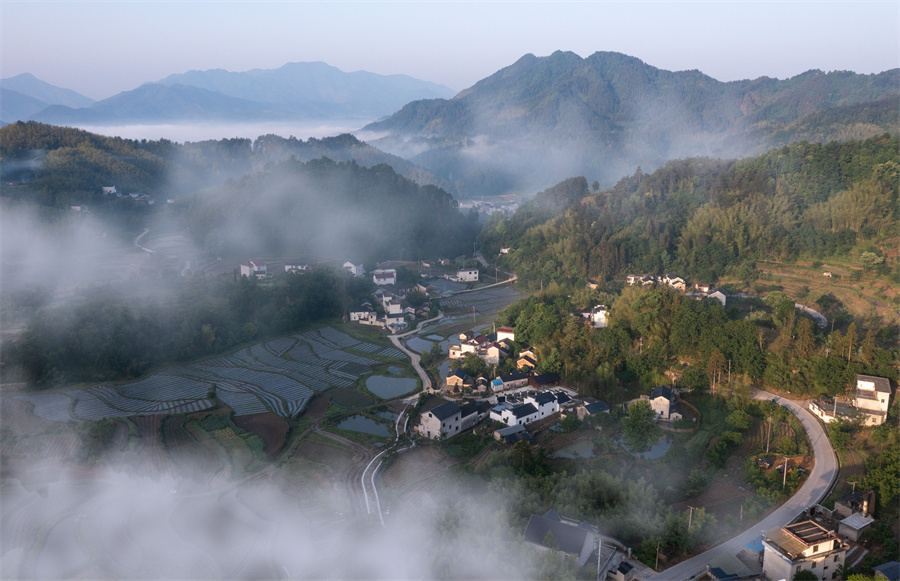 遠岫出山催薄暮，細風吹雨弄輕陰。章曉璇攝