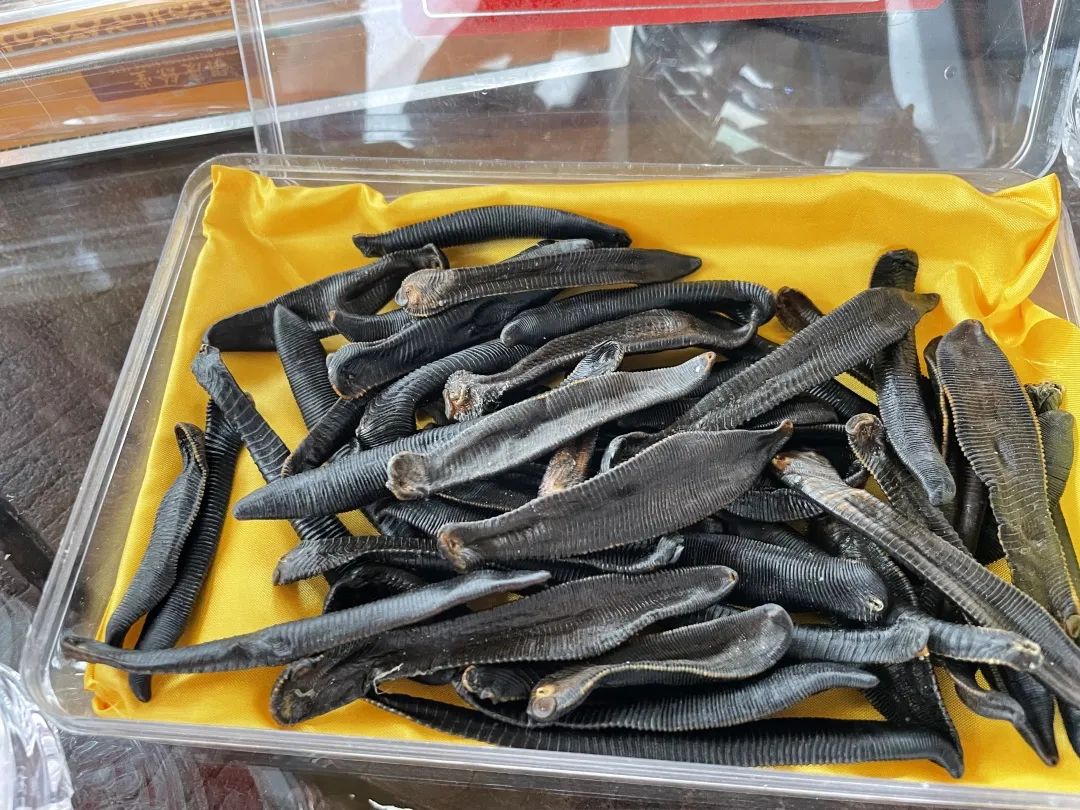 制作完成的水蛭干品。位偉勤攝